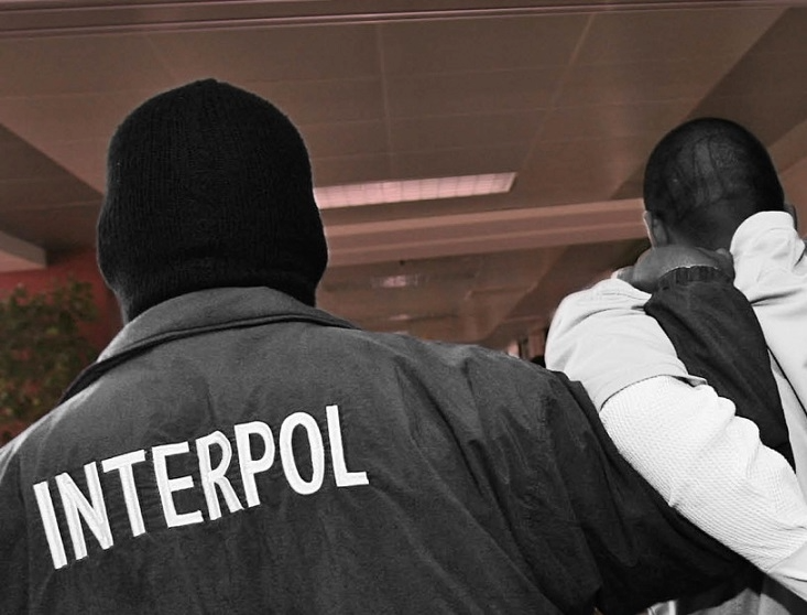 illustration interpol