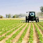 Agriculture