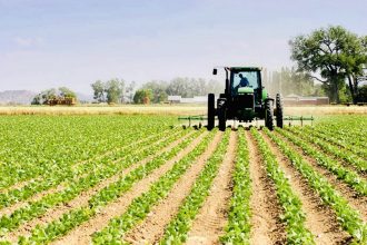 Agriculture