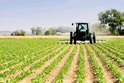 Agriculture