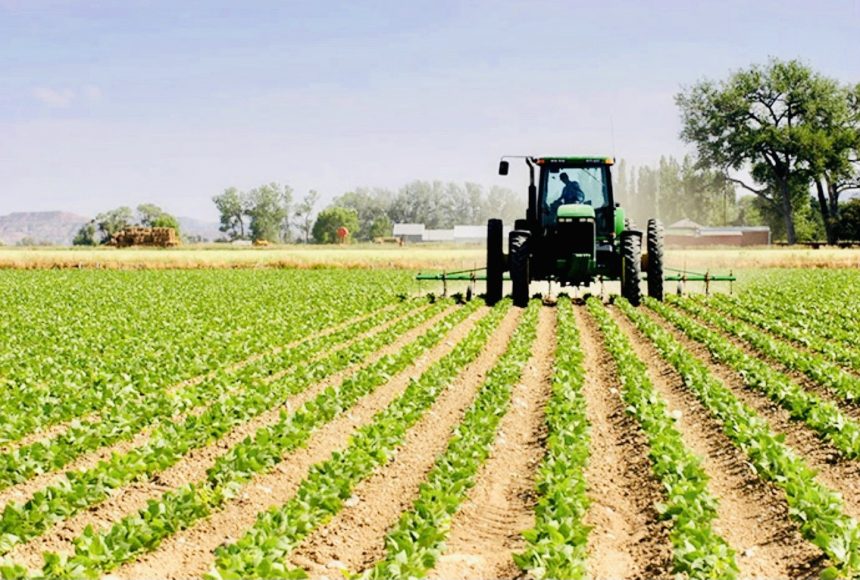 Agriculture